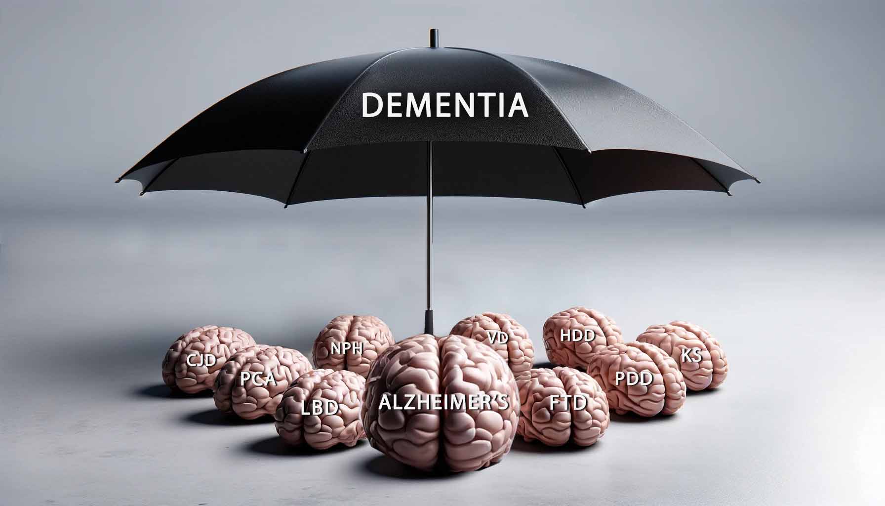 Alzheimer’s vs Dementia: What’s the Difference?